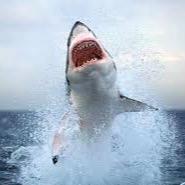 EricReeves10's profile picture. 