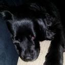 Pete Ray - @pdray22 - Twitter