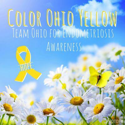 Worldwide Endomarch Team Ohio! Please help support TEAM OHIO by joining our FB pages and IG @color_ohio_yellow #endomarch #endometriosis awareness
