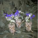 Janice Wnuk - @JaniceWnuk - Twitter