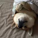 Jack Comber - @IDoNotRest - Twitter