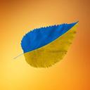 Genadiy Petrovich (@000Grinko) Twitter