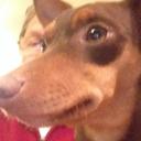 George Wheat Sr - @sr_wheat - Twitter