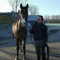 Paarden, Land Rover. One life, live it!