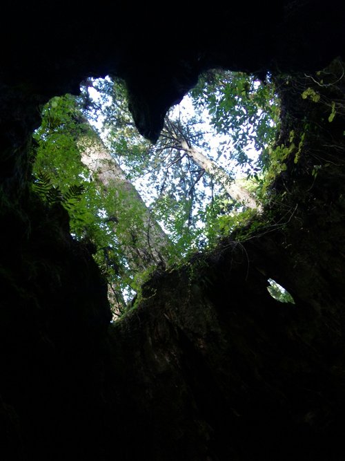 teruko36's profile picture. 食、旅行、音楽(Mr.Children/BankBand/Nulburich/藤井風/くるり/ハナレグミ/星野源)、お笑い(コットン、エレキ、たくろう)、映画、北欧、オダギリジョー、岡山天音、池松壮亮、仲野太賀、写真が大好きです♡