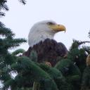 Shane Ball - @s_c_ball - Twitter