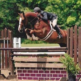 instagram: eqprobss