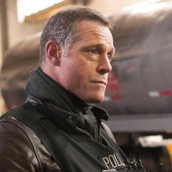 Fan site dedicated to the incredibly talented actor, Jason Beghe. Jason currently plays Sgt. Hank Voight on ChicagoPD.