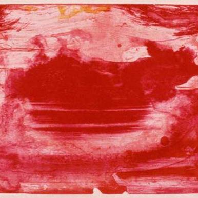 shapexshifting's profile picture. 