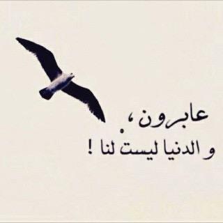 ، ﻋﯾوﻥ ﺗﺣﻟم و ﻗلب ﯾﺗﻣﻧى #وΙﻟﻟہ #ﻛرﯾم/3
