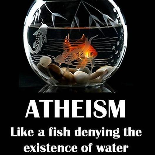 Helping atheists overcome their intellectual deficiencies & stupidity, one hell bound fool (Psalm 14:1) at a time - Christian academic/intellectual