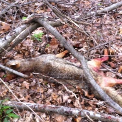 This account is for everyone who fishes and hunts! Latest lake news and hunting news! All hunts around Central Ohio!