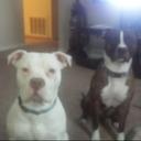 Curtis hancock - @curtishancock61 - Twitter