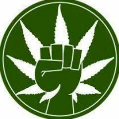 If you do not follow back. I will unfollow. Get it?                             Product is available upon request Marijuana Dispensary