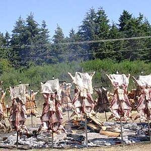 Tweeting about the Saturna Lamb BBQ. A Canada Day Argentinian style barbeque that has been happening for 66 years.