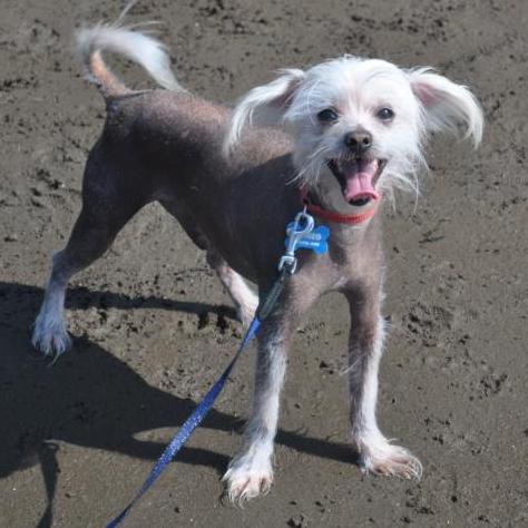 romeosrecipes's profile picture. Vanessa Larson