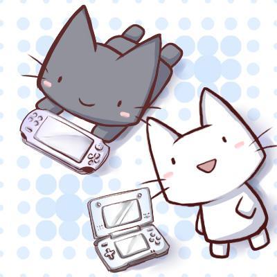 軽トラ自作キャンピングカーで愛猫キラと一緒にバンライフ