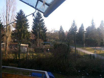 elyaseir92's profile picture. 