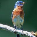 Ann Eberhardt - @annmeb02 - Twitter