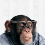 JakeBerning's profile picture. 