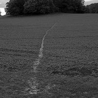 Craig Stephens (@acraigster) 's Twitter Profile Photo