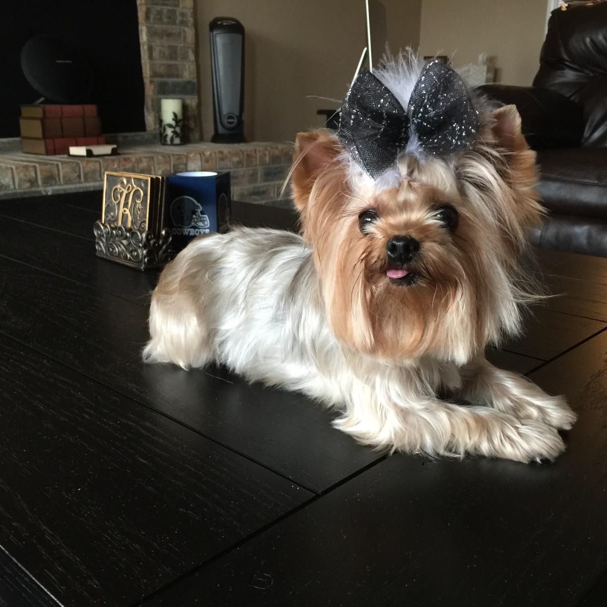 GLK806's profile picture. I love Texas