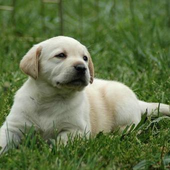 TC12345679's profile picture. awful editor