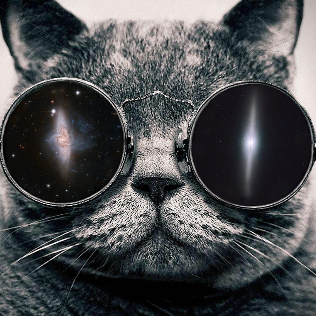 JDDeCD's profile picture. 