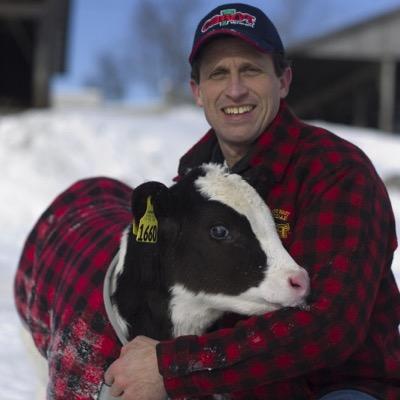 MKVTpolled's profile picture. Promoting Pure Polled Holsteins here at MK-VT Polled Holsteins and around the world.
