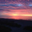 Diane Fore - @ForeDiane - Twitter