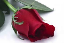 ‏‏..استغفرالله واتوب اليه