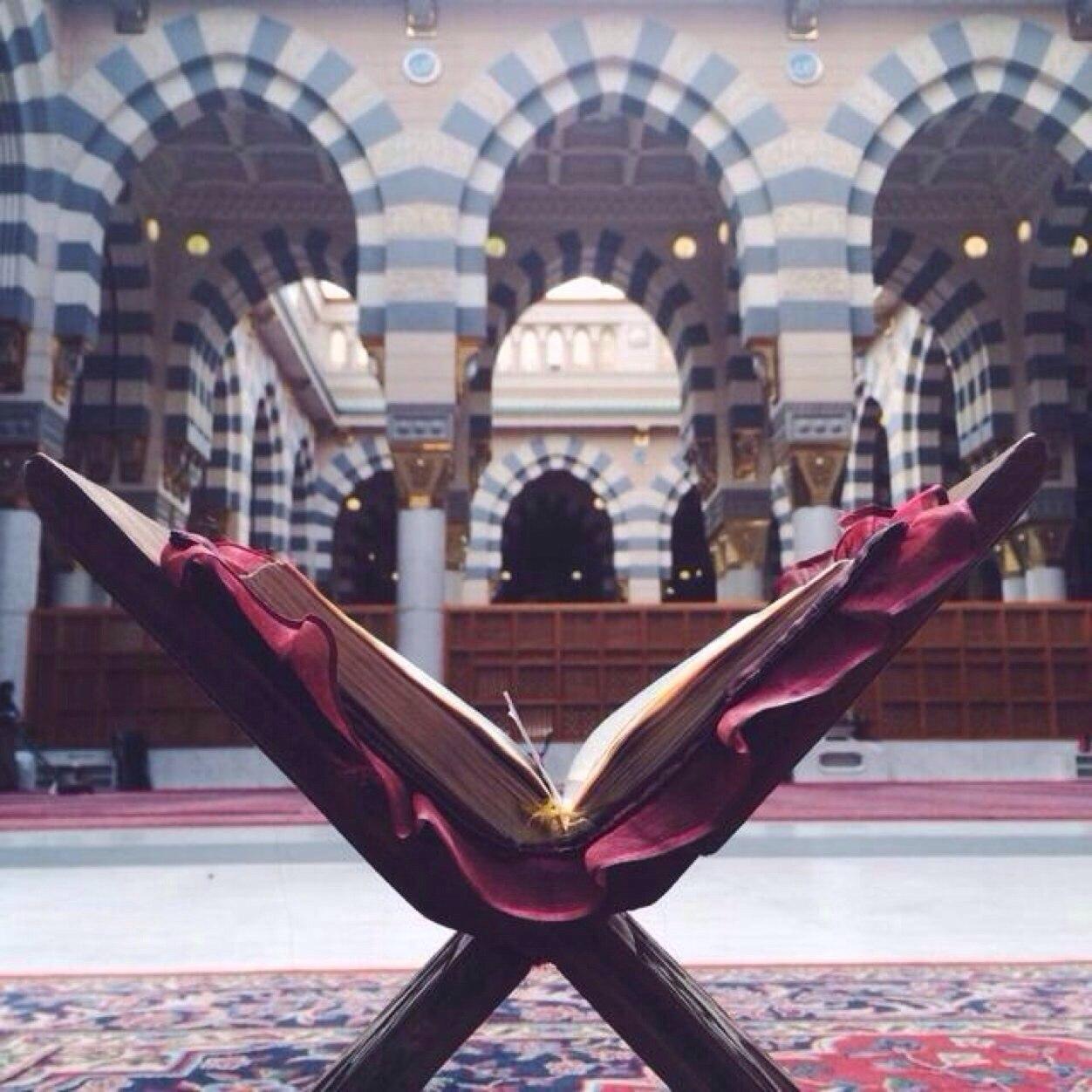وما الحياة الدنيا إلا متاع الغرور