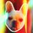 StonewallTheDog's profile image