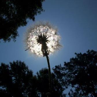 dailyword4you2's profile picture. Follow Daily Word 4 You, this is a temporary account.