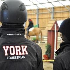 The York University Equestrian Team