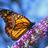 colls_hablark5's profile image