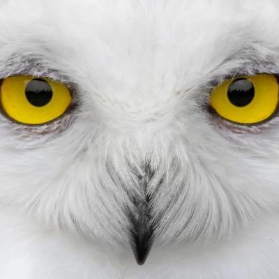 eno_outerspace's profile picture. 