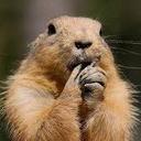 Robby Russell - @Brandishman - Twitter