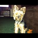 Betty Doyle - @nanaof8angels - Twitter