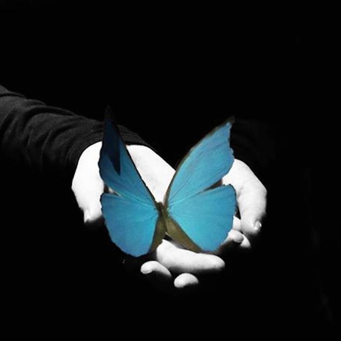 FirstDraftMelb's profile picture. Presenting 'A Butterfly Effect' @ ADLFringe 2015: 3 SHOWS ONLY - March 4, 5 & 7 @ The Grace Emily Hotel.