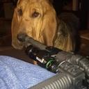 Greg Hamm - @CoachGregH - Twitter