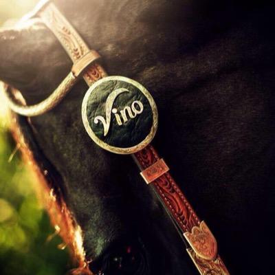 paneqestrian's profile picture. i like horses