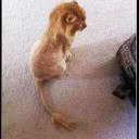 Ethan Morales - @ethanm973 - Twitter