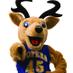 Rich Brodersen (@richbrodersen) Twitter profile photo Rich Brodersen (@richbrodersen) Twitter profile photo