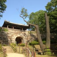 성남시 위례동주민센터 최자영 (@cjy332014) 's Twitter Profile