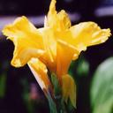 Shari Evans - @Shari_77 - Twitter