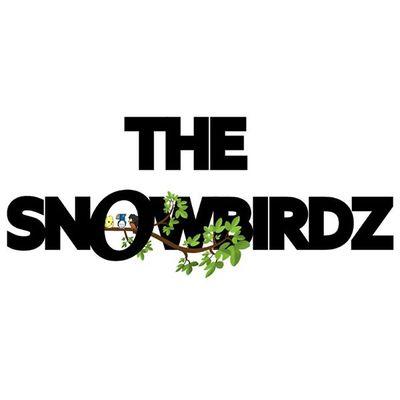 Our very first release 'The Snowbirdz EP' is out! Génial, merveilleux. Spread the love, come fly with us!