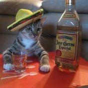 I hate Mondays 
I love quesadillas and cat nip
