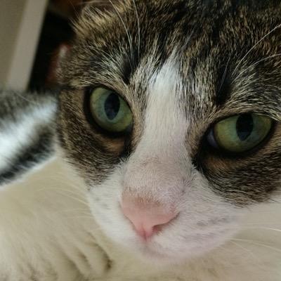 ゴトーマサミ BE=(ビー)さんのプロフィール画像