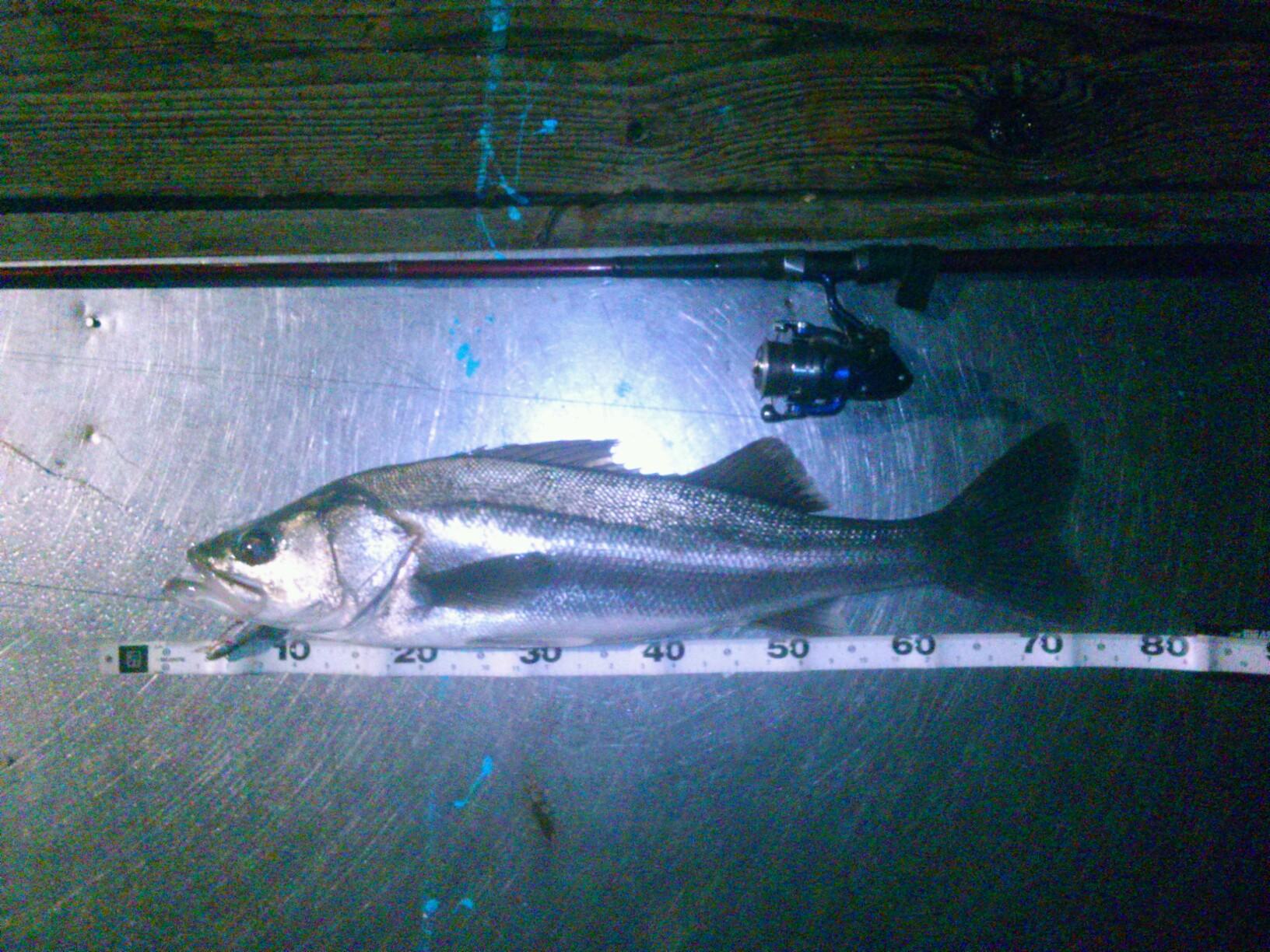 HiroNeli's profile picture. 